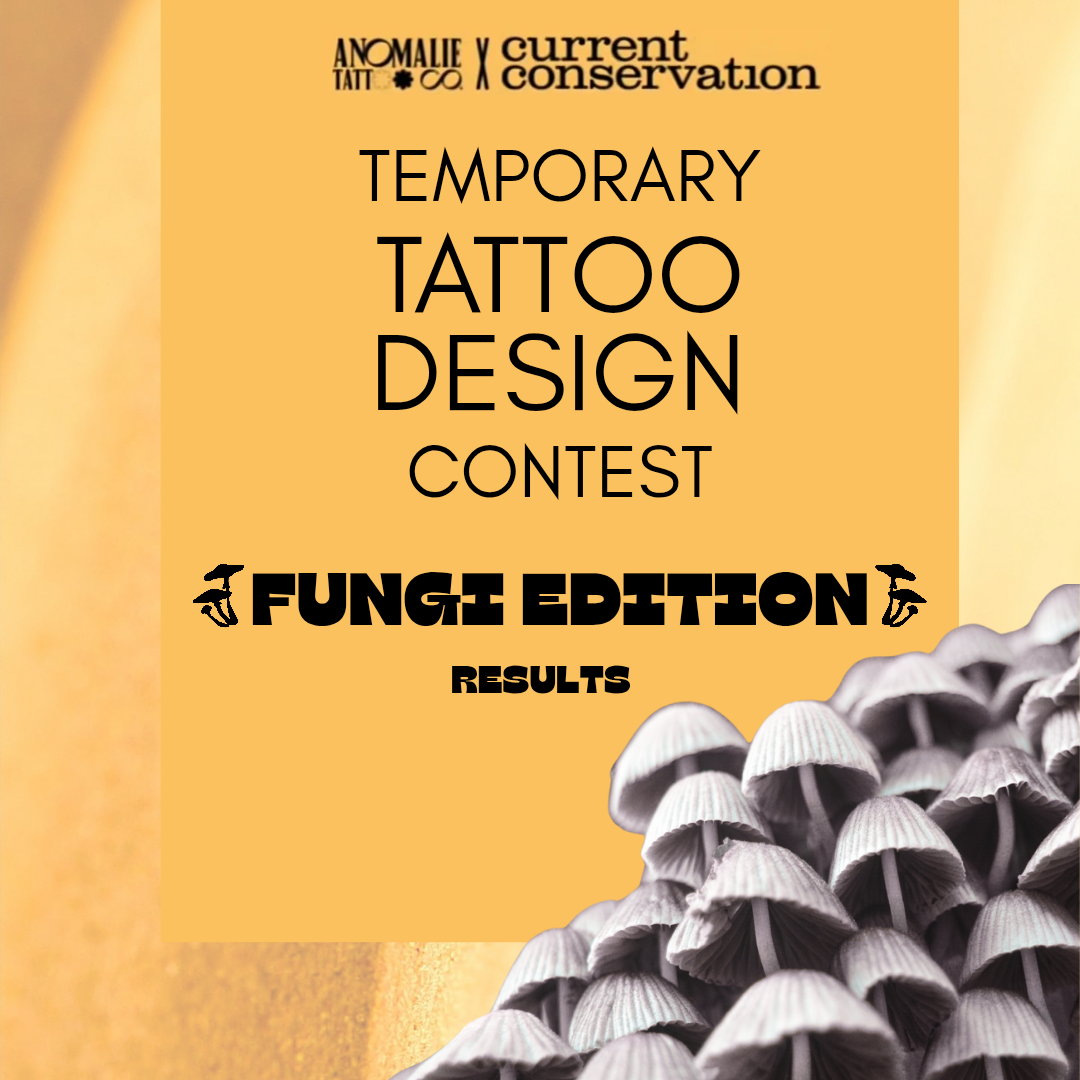 Celebrating Art & Conservation: Meet the Winners of Our Fungi Tattoo Design Contest