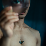 Prince in Home Of The Butterflies