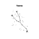 Taurus the bull