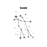 Gemini the twins