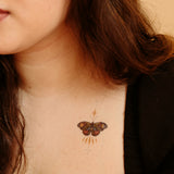 Home Of The Butterflies
