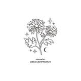 November’s Chrysanthemum